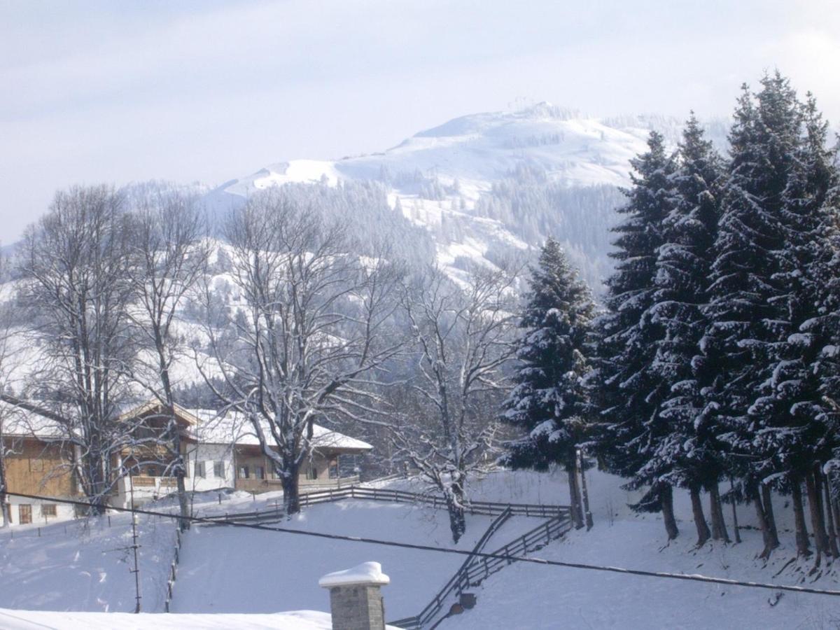 Gaestehaus Roland Kirchberg in Tirol Dış mekan fotoğraf